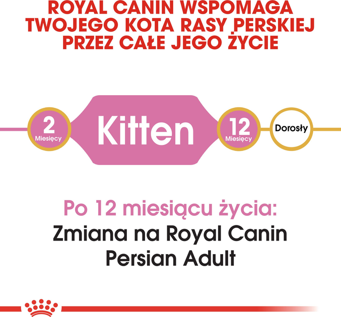 Sucha karma Royal Canin Persian Kitten dla kociąt rasy perskiej 2 kg (3182550721219) - obraz 3