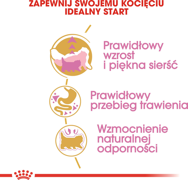 Sucha karma Royal Canin Persian Kitten dla kociąt rasy perskiej 2 kg (3182550721219) - obraz 6