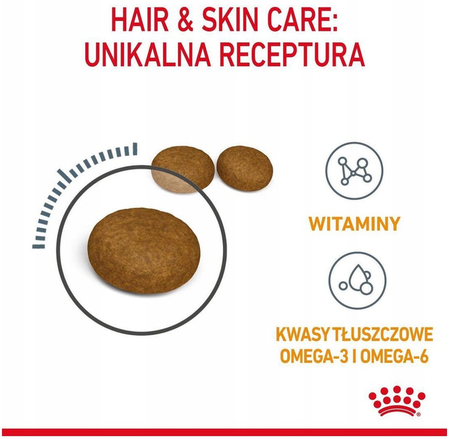 Sucha karma dla kotów Royal Canin Hair and Skin Care Zdrowa skóra i sierść 400 g (3182550721721) - obraz 5