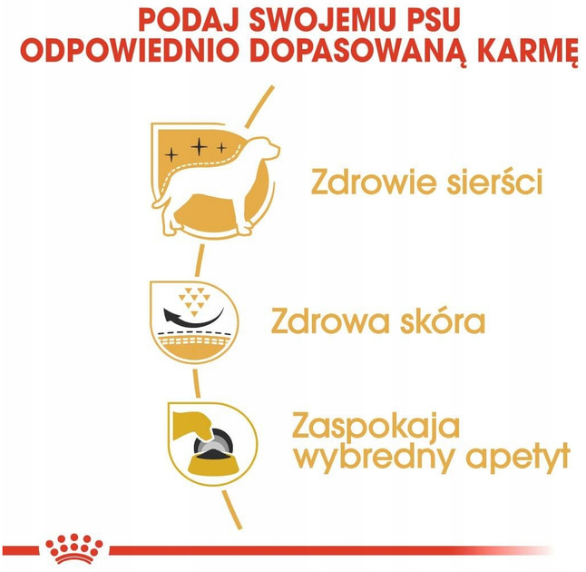 Sucha karma Royal Canin West Highland White Terrier Adult dla dorosłych i starzejących się psów 500 g (3182550751292) - obraz 4