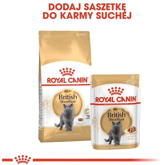 Сухий корм Royal Canin British Shorthair Adult для дорослих котів британської короткошерстої породи 400 г (3182550756402) - зображення 4