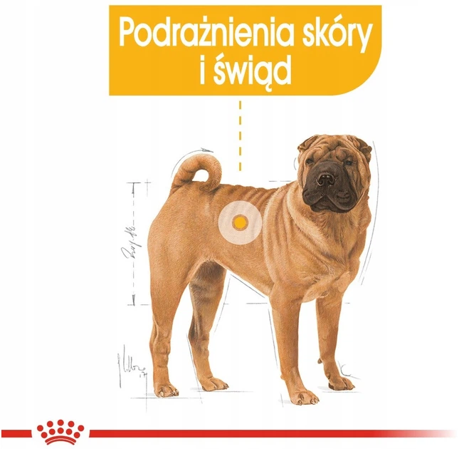 Sucha karma Royal Canin Medium Dermacomfort dla dorosłych psów średnich ras o wrażliwej skórze 3 kg (3182550773829) - obraz 5