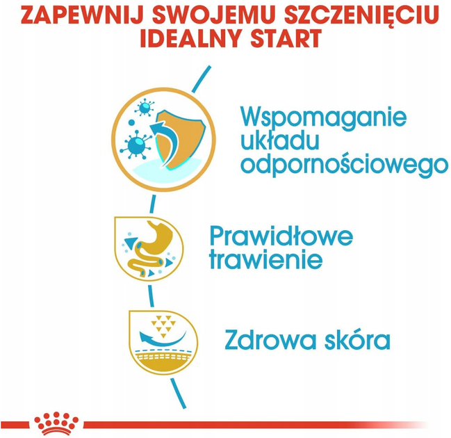 Сухий корм Royal Canin French Bulldog Puppy для цуценят породи французький бульдог 10 кг (3182550777674) - зображення 4