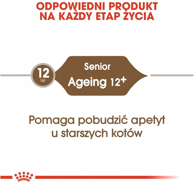 Sucha karma Royal Canin Senior Ageing dla kotów 12+ 2 kg (3182550786218) - obraz 6