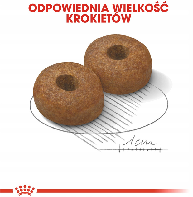 Sucha karma dla psów dużych ras powyżej 8 roku życia Royal Canin Maxi Ageing 8+ 15 kg (3182550803113) - obraz 4