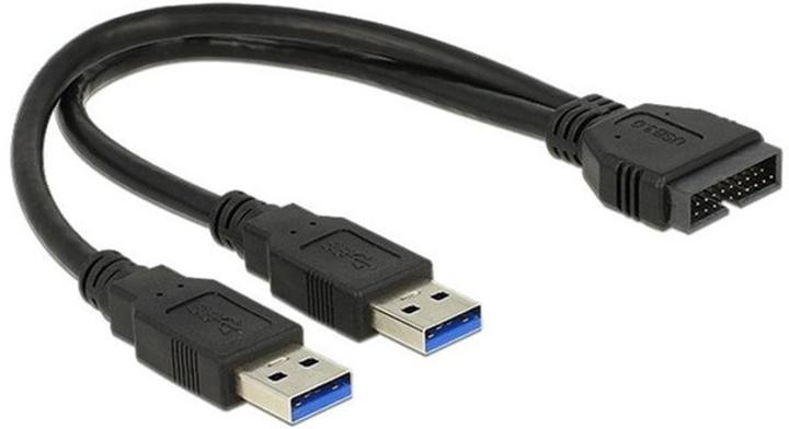 Kabel Delock USB Pin header -2 x USB Type-A M/M 0.25 m Black (4043619839100) - obraz 1