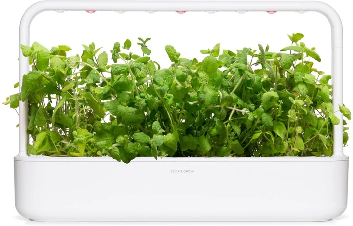Wkład wymienny Click&Grow Mięta jabłkowa 3 kapsułki (4742793001814) - obraz 3