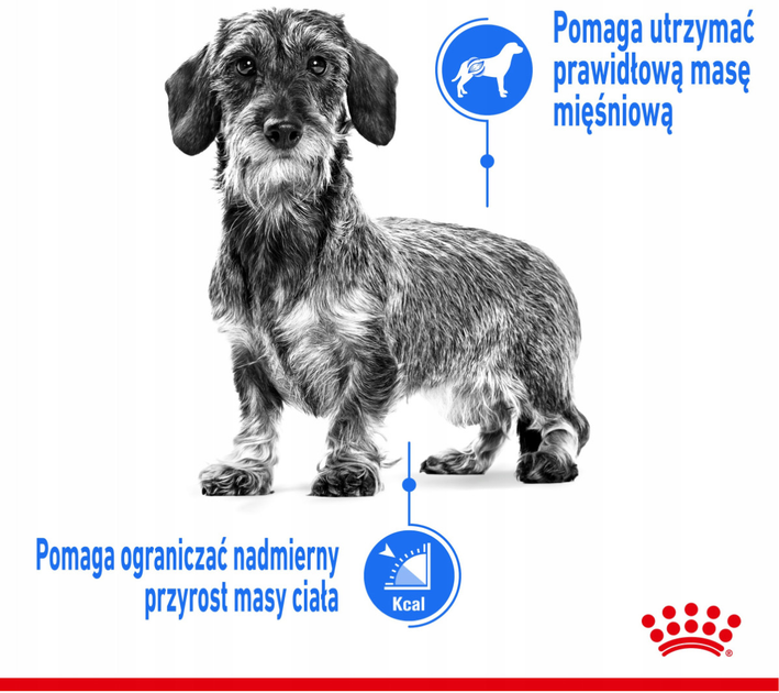 Сухий корм Royal Canin Mini Light Weight Care для собак схильних до надмірної ваги 3 кг (3182550894104) - зображення 8