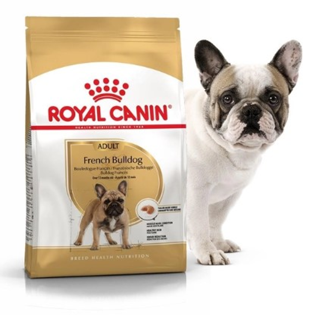 Royal Canin French Bulldog Adult