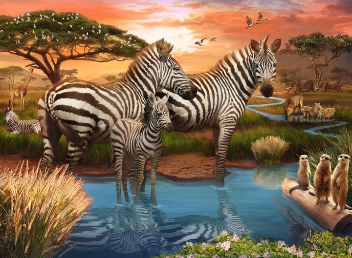 Puzzle Ravensburger Zebras In Sunset 500 elementów (4005556173761) - obraz 1