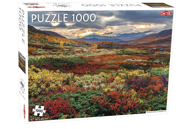 Puzzle Tactic Indian Summer in Norrbotten 1000 elementów (6416739566818) - obraz 1