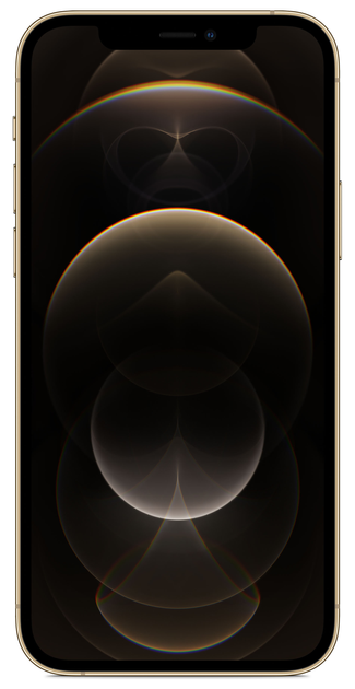 Smartfon Apple iPhone 12 Pro 512GB Gold (APL_MGMW3) - obraz 2