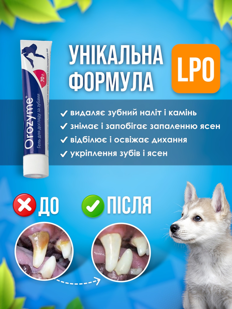 Гель Orozyme (Орозим) для зубів та ясен для тварин, 70 г – купити ...