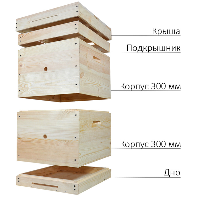 Улей Дадан 10 рамочный, 2 корпуса, 440x510x320 мм, сосна