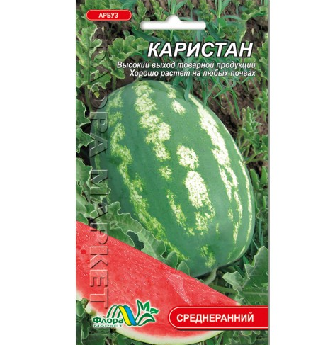 Семена Арбуз Каристан 3 г среднеранний полосатый - Фото 1 Семена Арбуз Каристан 3 г среднеранний полосатый - изображение 1