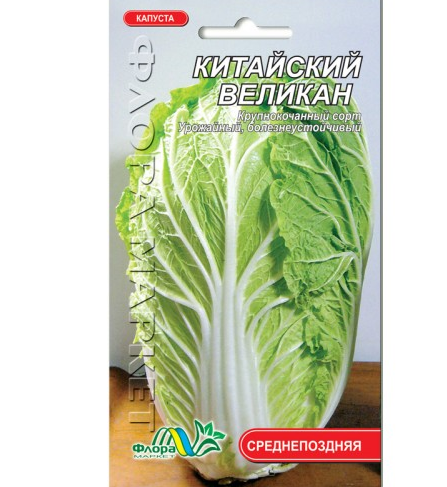 Семена капуста Пекинская Китайский великан среднепоздняя 0.2 г - Фото 1 Семена капуста Пекинская Китайский великан среднепоздняя 0.2 г - изображение 1