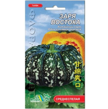Семена тыква Заря востока среднеспелая 1 г - Фото 1 Семена тыква Заря востока среднеспелая 1 г - изображение 1