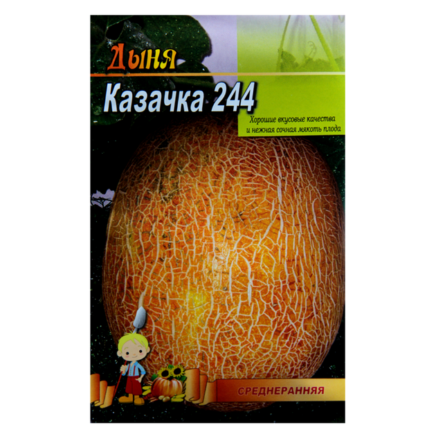 Семена Дыня Казачка 5 г среднеранняя большой пакет - Фото 1 Семена Дыня Казачка 5 г среднеранняя большой пакет - изображение 1