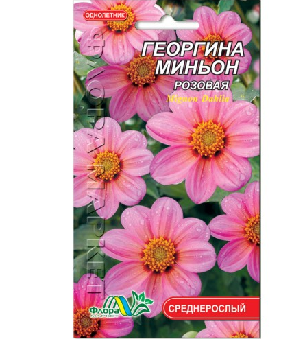 Семена Георгина миньон розовая однолетник среднерослый 0.15 г - Фото 1 Семена Георгина миньон розовая однолетник среднерослый 0.15 г - изображение 1