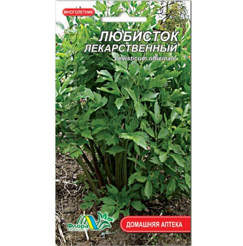 Насіння Любисток 0.25 г лікарський багаторічник - Фото 1 Насіння Любисток 0.25 г лікарський багаторічник - зображення 1