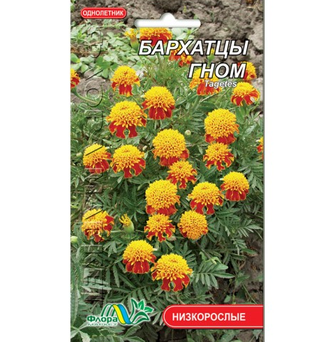Семена Бархатцы Гном двуцветный однолетник низкорослый 0.3 г - Фото 1 Семена Бархатцы Гном двуцветный однолетник низкорослый 0.3 г - изображение 1
