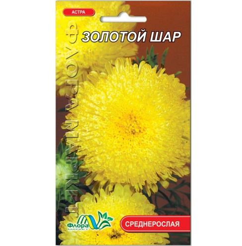 Семена Астра Золотой шар помпонная желтый 0.3 г - Фото 1 Семена Астра Золотой шар помпонная желтый 0.3 г - изображение 1