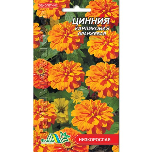 Семена Цинния карликовая оранжевая однолетник низкорослый 0.2 г - Фото 1 Семена Цинния карликовая оранжевая однолетник низкорослый 0.2 г - изображение 1