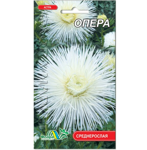 Семена Астра Опера игольчатая белый 0.3 г - Фото 1 Семена Астра Опера игольчатая белый 0.3 г - изображение 1