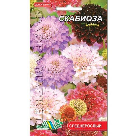 Семена Скабиоза разные цвета однолетник среднерослый 1 г - Фото 1 Семена Скабиоза разные цвета однолетник среднерослый 1 г - изображение 1