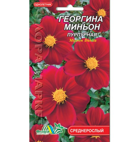 Семена Георгина миньон пурпурная однолетник среднерослый 0.15 г - Фото 1 Семена Георгина миньон пурпурная однолетник среднерослый 0.15 г - изображение 1
