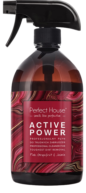 Płyn Perfect House Active Power profesjonalny do trudnych zabrudzeń 480 ml (5902305007089) - obraz 1