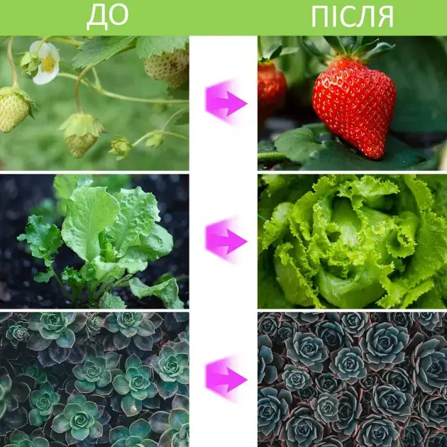 Светодиодная Фитолампа GrowLight для Выращивания Комнатных Растений Full Spectrum 4 лампи - изображение 7