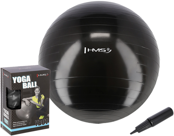 Фитнес мяч (фитбол) HMS Fitball 75 см 17-42-165 Черный (5907695554779 ...
