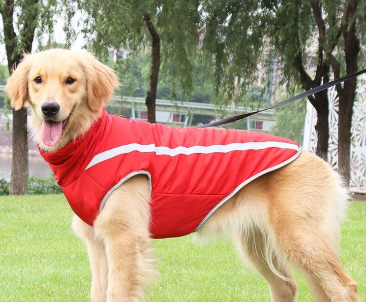 Светоотражающая зимняя толстая куртка для собак Red, XL Красный - изображение 2