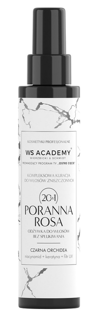 Odżywka Ws academy Poranna Rosa do włosów bez spłukiwania 150 ml (5904555630741) - obraz 1