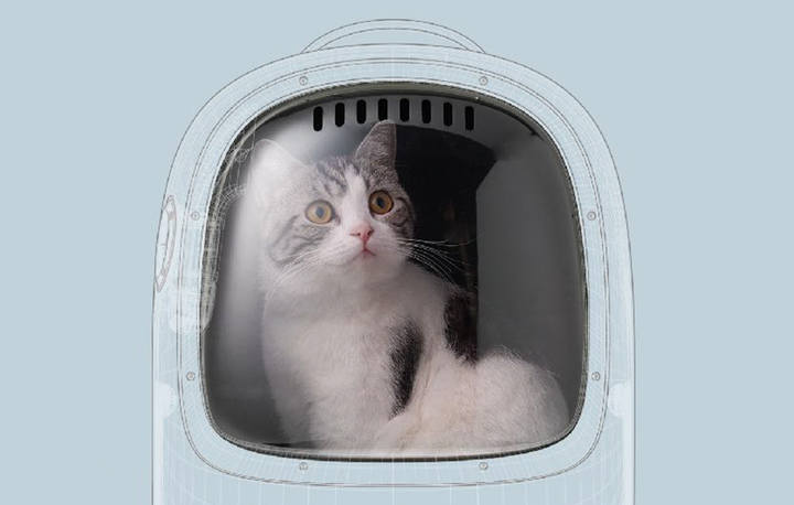 Рюкзак-переноска Petkit Breezy 2 Green (6973293808629) - зображення 3