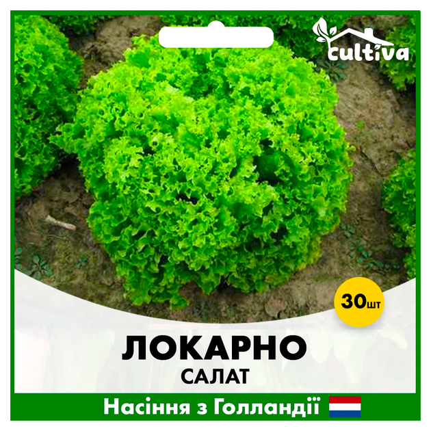 Голландские Семена Rijk Zwaan Салат Локарно, тип Лолло Биондо, 30 шт - Фото 1 Голландские Семена Rijk Zwaan Салат Локарно, тип Лолло Биондо, 30 шт - изображение 1
