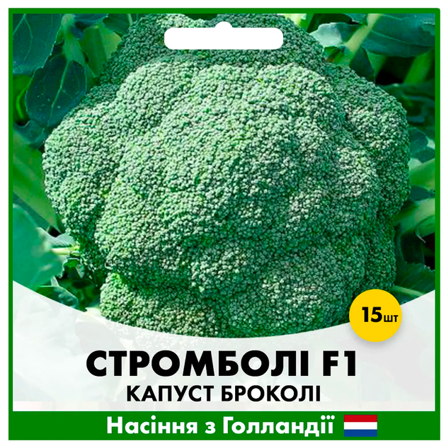 Голландские семена Hazera Капуста брокколи Стромболи F1 15 шт - изображение 3