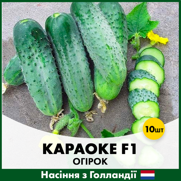 Голландские Семена Rijk Zwaan Огурец Караоке F1 10 шт - Фото 3 Голландские Семена Rijk Zwaan Огурец Караоке F1 10 шт - изображение 3