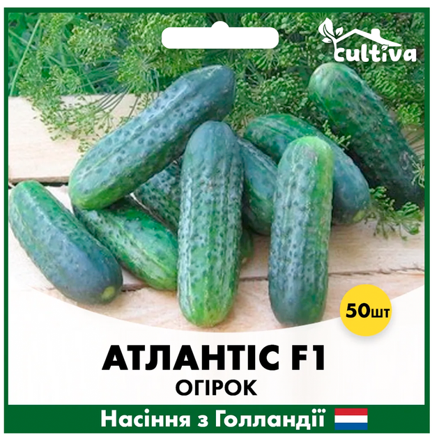 Голландские Семена Bejo Огурец Атлантис F1 50 шт - изображение 3