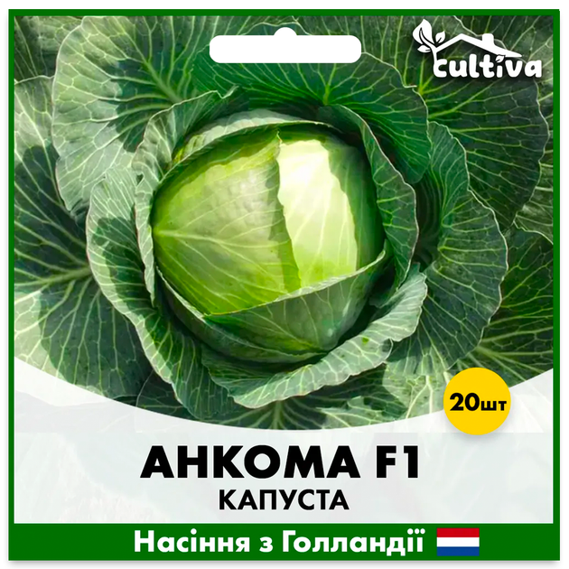Голландське Насіння Rijk Zwaan Білоголова капуста Анкома F1 20 шт - Фото 3 Голландське Насіння Rijk Zwaan Білоголова капуста Анкома F1 20 шт - зображення 3