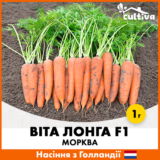 Голландские Семена Bejo Морковь Вита Лонга, 1 г - изображение 3