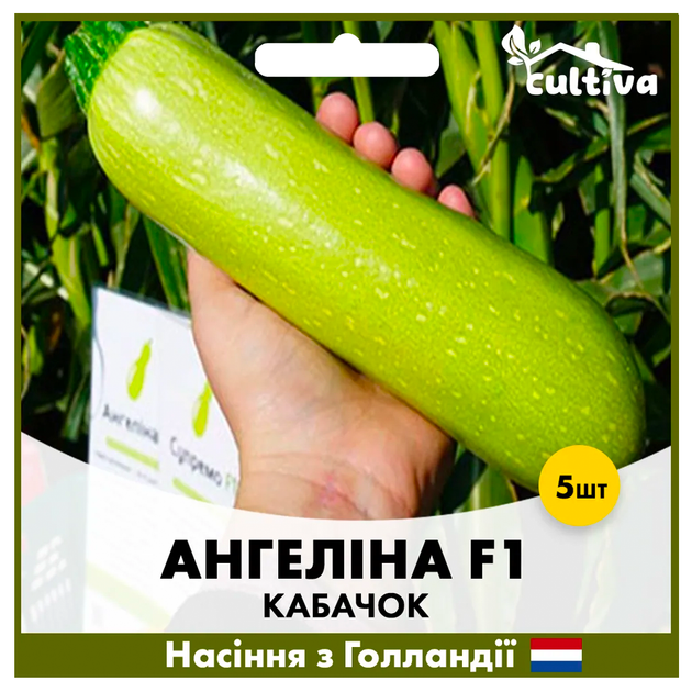 Голландське насіння Syngenta Кабачок Ангелина F1 5 шт - зображення 2