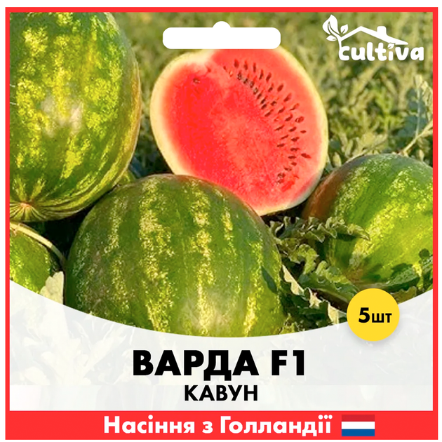 Голландские семена Hazera Арбуз Варда F1 5 шт - изображение 2