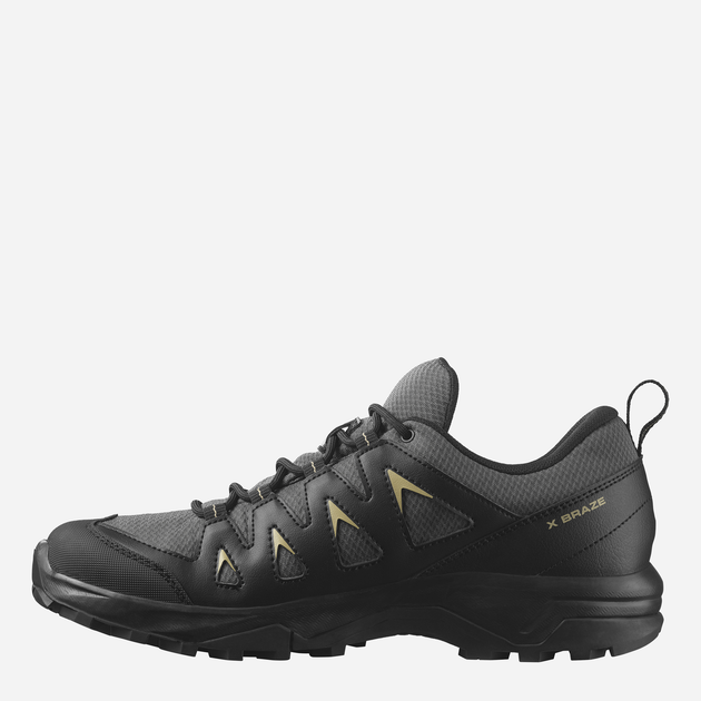 Чоловічі кросівки для трекінгу з Gore-Tex Salomon X Braze Gtx