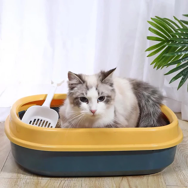 Туалет лоток для кішок Taotaopets 225501 46*38*13 см Indigo з лопаткою - зображення 2