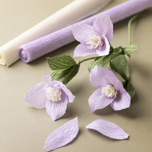 Zestaw do tworzenia kwiatów Creativ Company Crepe Paper (5712854613989) - obraz 4