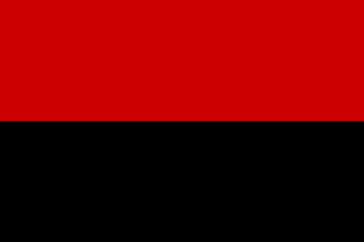 Прапор УПА без вишивки 140х90, червоно-чорний – фото, отзывы ...