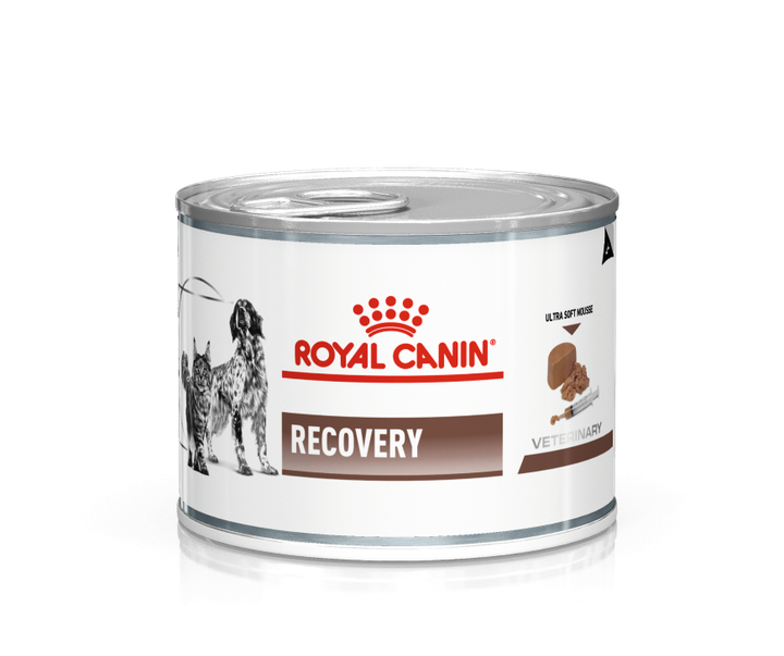 Лечебный корм Royal Canin Recovery 195 г (40550021) - Фото 1 Лечебный корм Royal Canin Recovery 195 г (40550021) - изображение 1