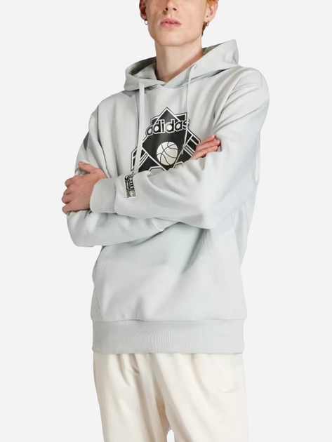 Bluza męska z kapturem Adidas Graphic Hoodie "Wonder Silver" IV9691 S Szara (4067886984875) - obraz 1